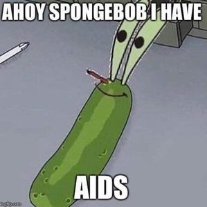 Meet your Posher, Bryce